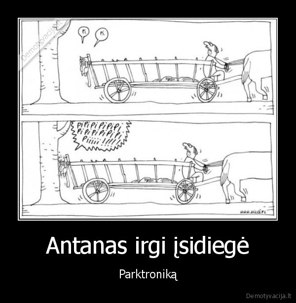 juokingas, paveiksliukas,juokingas, katinas,parkavimas