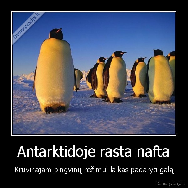 kadafiui, nieko, nebutu, jei, libijoj, nebutu, naftos