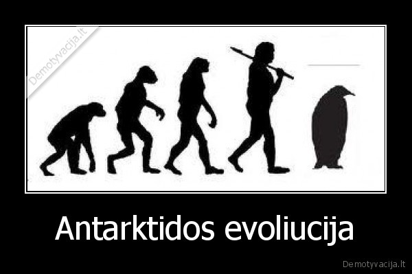 evoliucija,antarktida,pingvinas