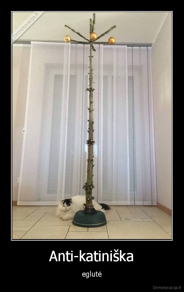 Anti-katiniška