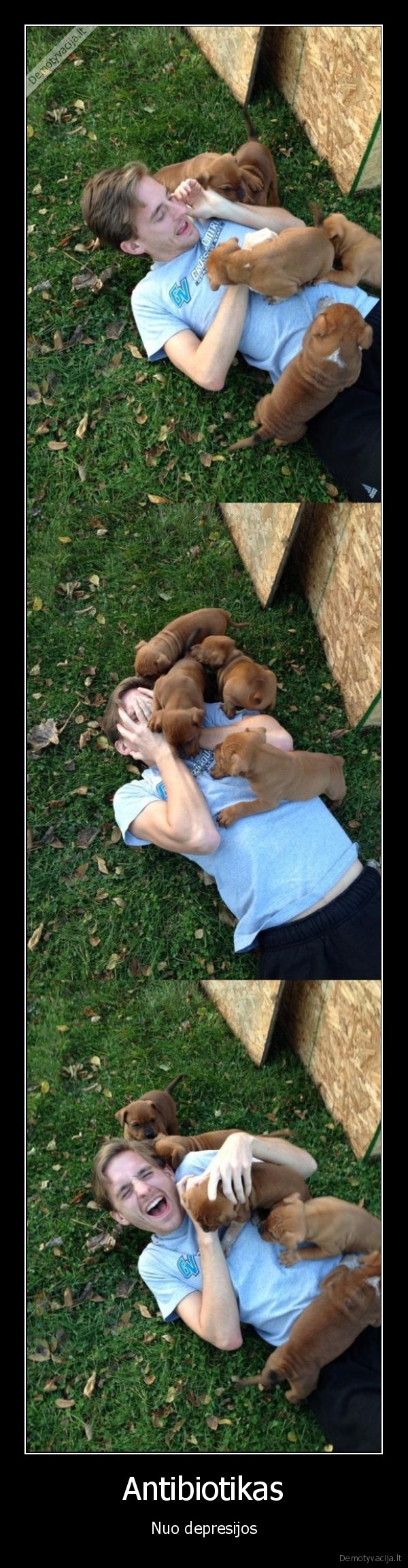 antidepresantas,mieli, suniukai,mazi, suniukai