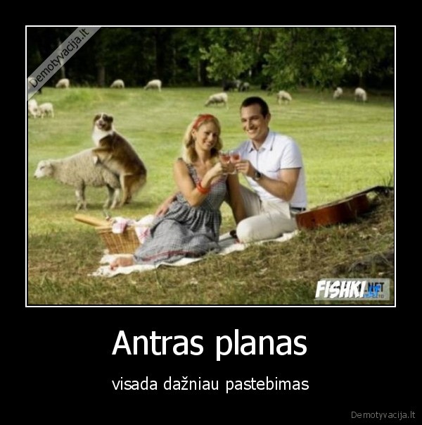 Antras planas