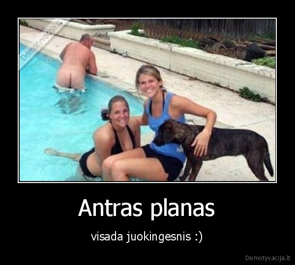 Antras planas