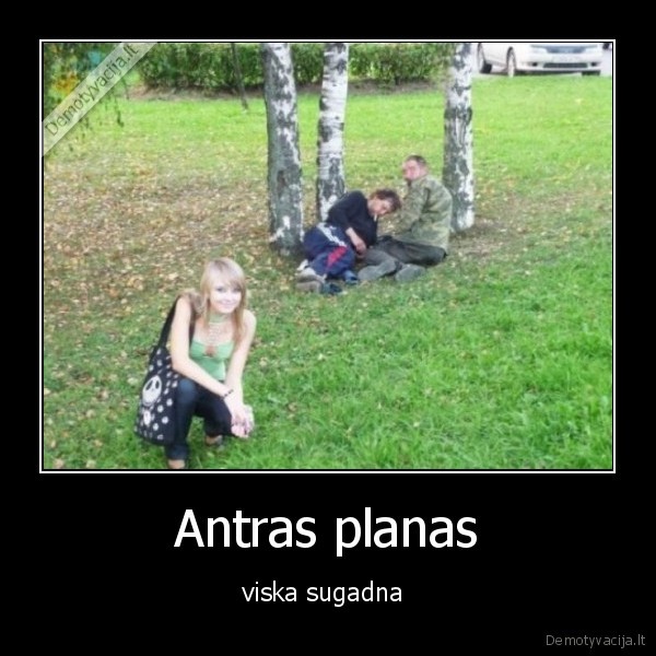 Antras planas