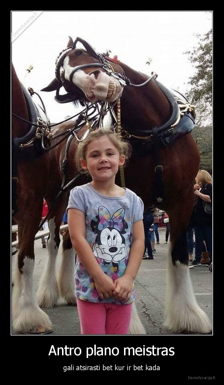 antras, planas,meistras,zirgas,mergaite,arklys,nuotrauka