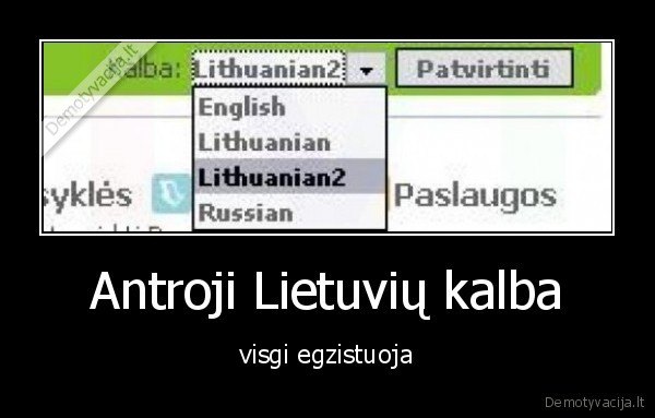 Antroji Lietuvių kalba