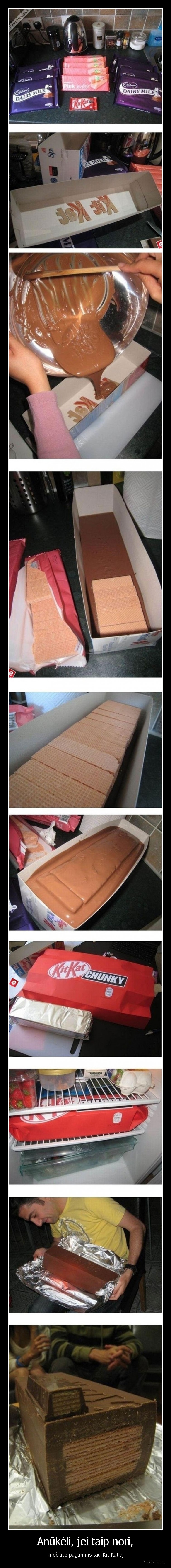 mociute,gamina,anukas,kit, kat,milziniskas