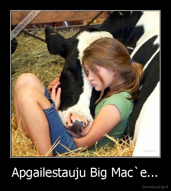 Apgailestauju Big Mac`e...