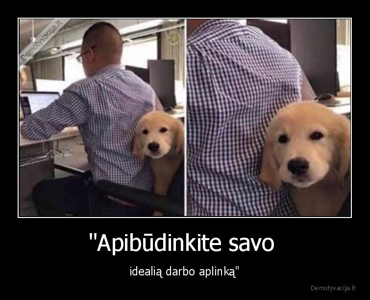 darbas,darbo, aplinka,ofisas,sunys