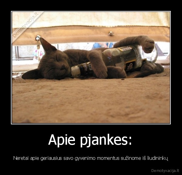 Apie pjankes: