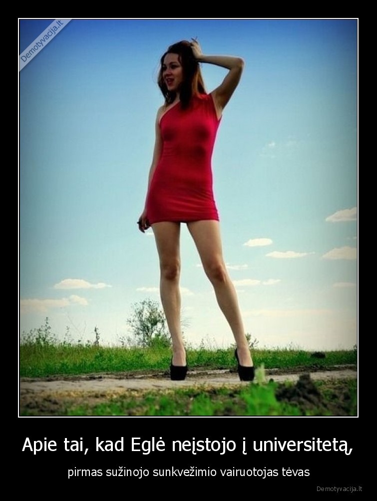 dukra,egle,neistojo,dirba,trasoje