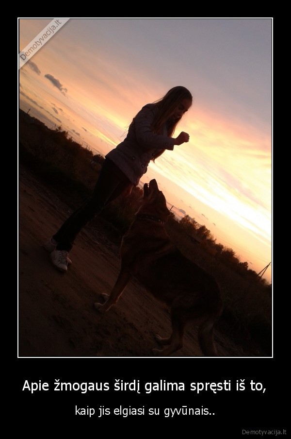 Apie žmogaus širdį galima spręsti iš to,