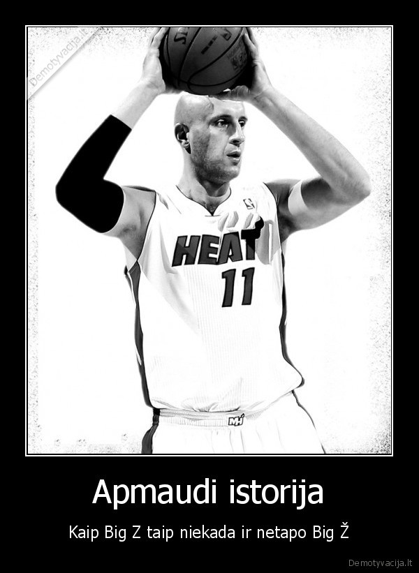 zydrunas,ilgauskas,baige,karjera