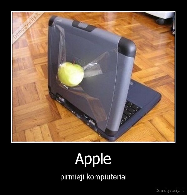apple,tai,tik,obuolys,bitch