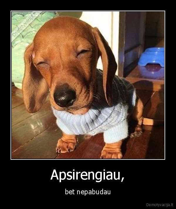 apsirengti,nepabusti