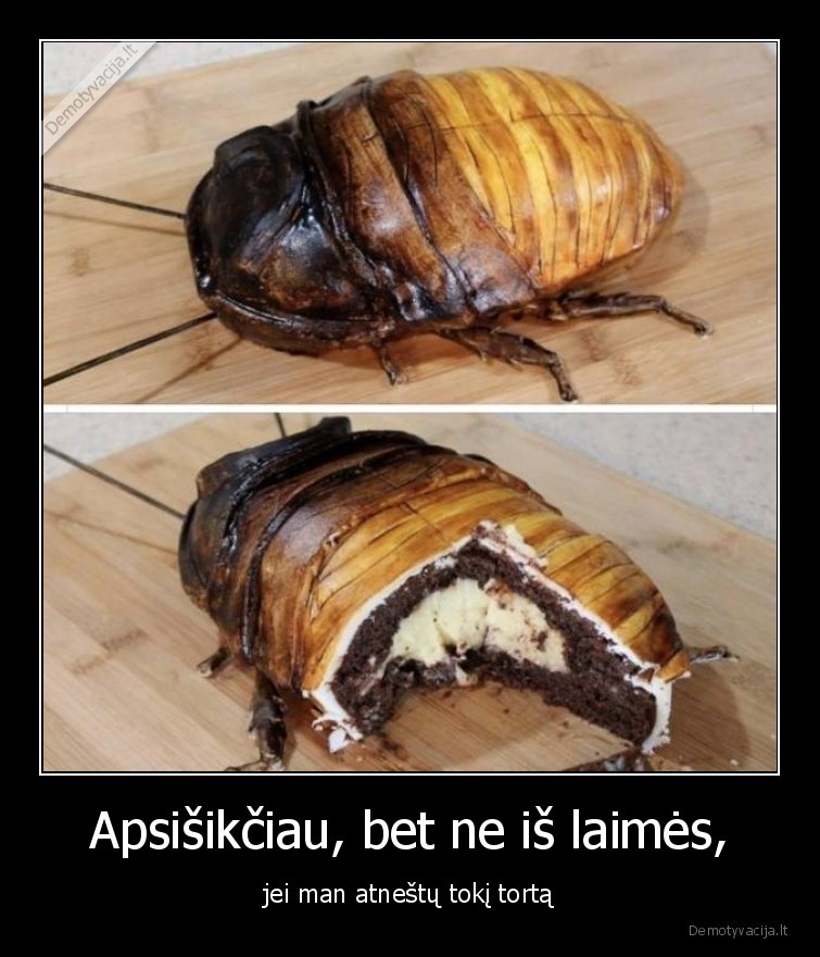 tortas,baisu,vabzdys