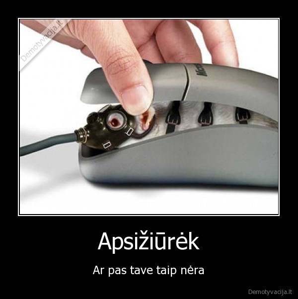 mouse,pointer