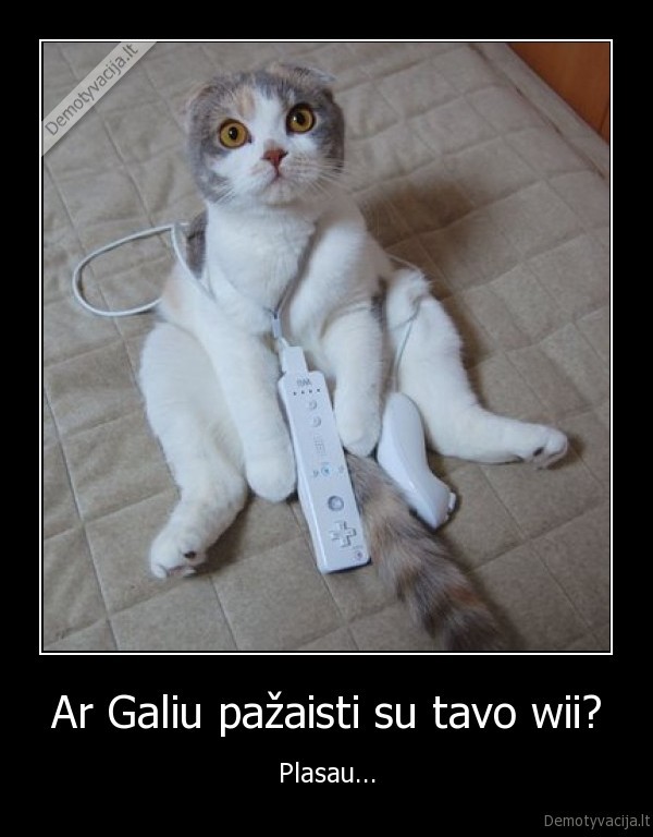 juokingos, kates, miela, grazu