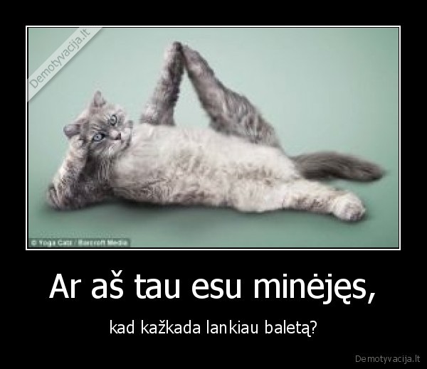 Ar aš tau esu minėjęs,