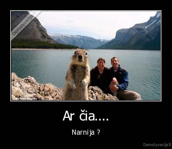 narnija, vovere, gyvnunai, kronikos, ar, cia, neprivaloma, liko, simboliu, pakeisti, pavei