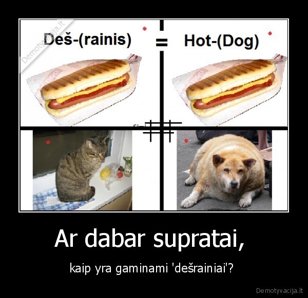 hotdog,desrainis,rainis,kate,suo,miau,auuuu