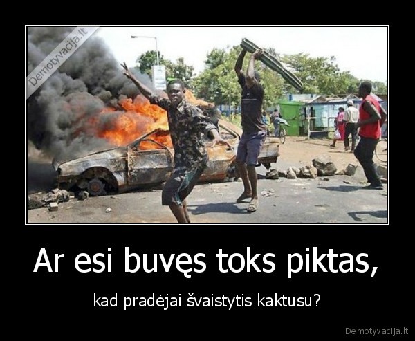 juodaodis, afrika, kaktusas, piktas