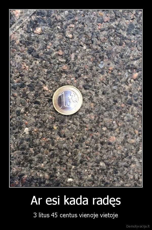 vienas, litas,pamestas, litas