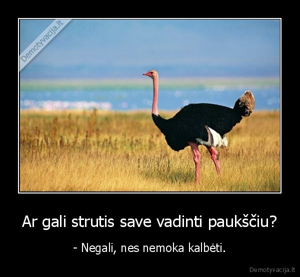 Ar gali strutis save vadinti paukščiu?
