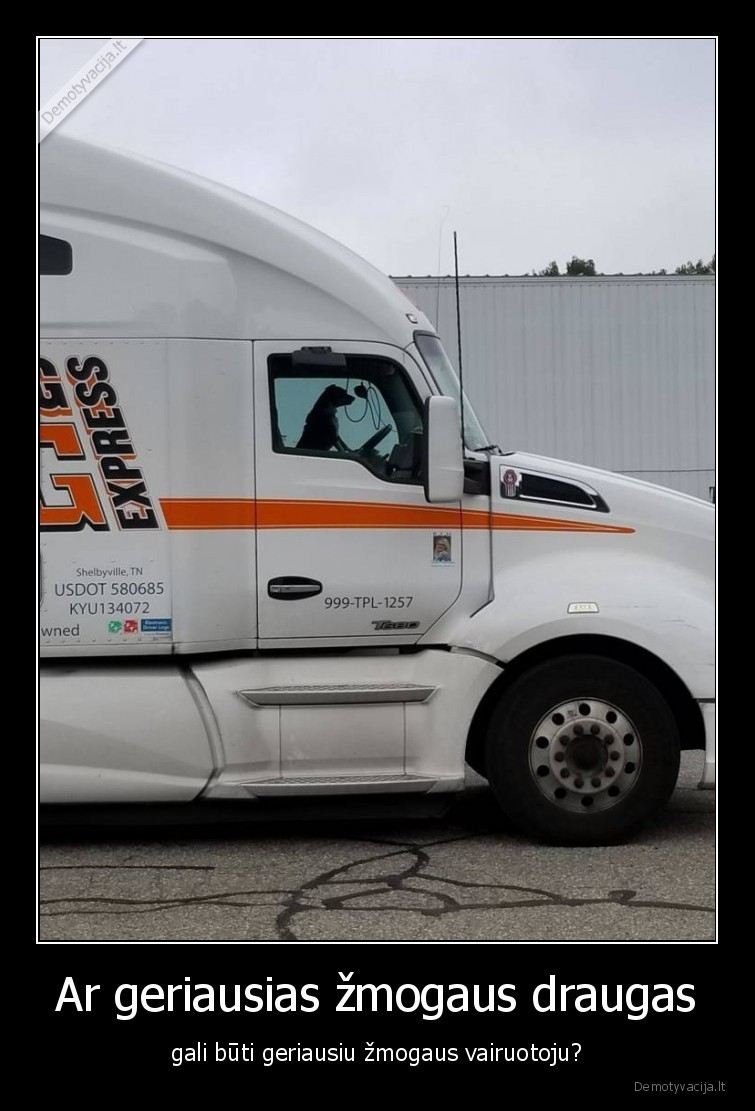 draugas,suo,vairuotojas