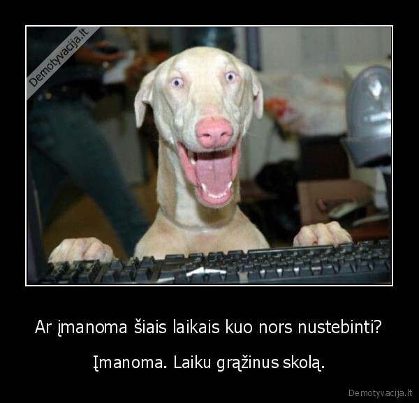 Ar įmanoma šiais laikais kuo nors nustebinti?