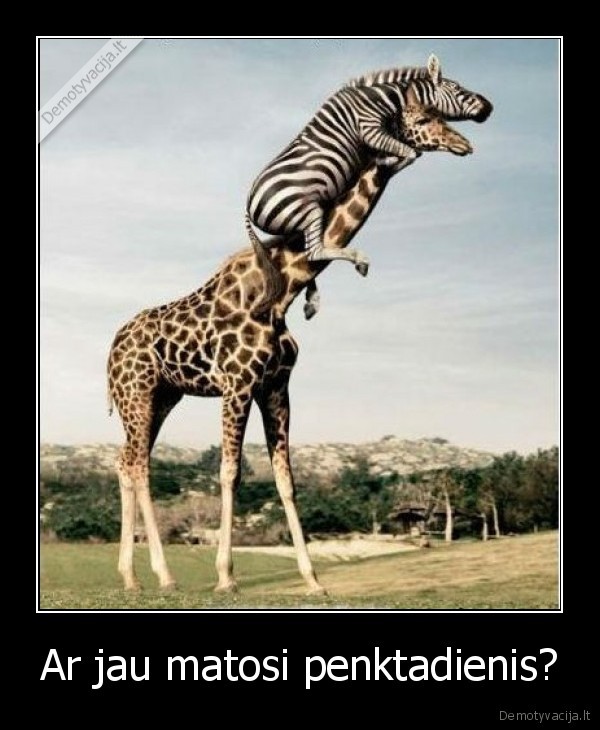 penktadienis,darbas,savaitgalis