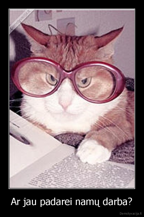 Ar jau padarei namų darba?