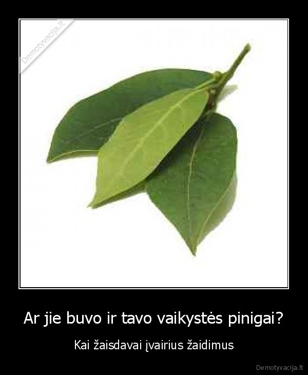 pinigai,lapai,vaikyste