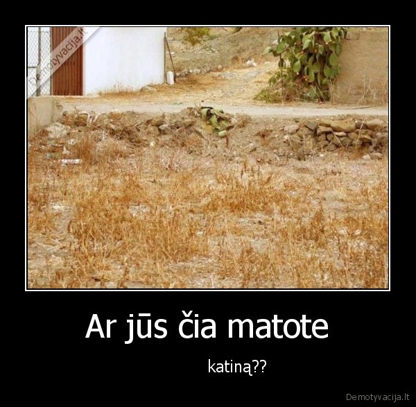 Ar jūs čia matote