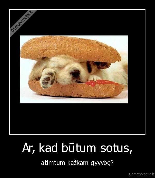 Ar, kad būtum sotus,