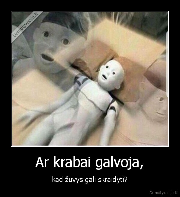 krabai,zuvys,mind, fuck