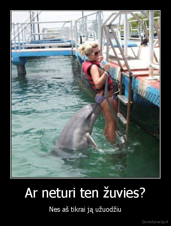 delfinas,mergina,zuvis