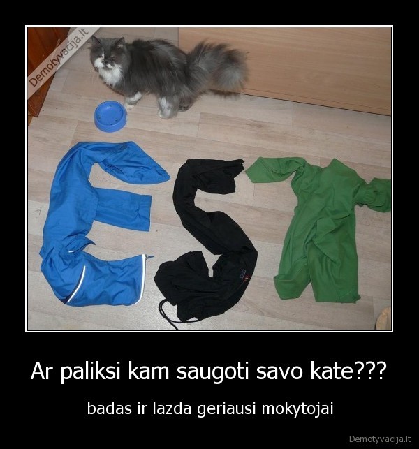 Ar paliksi kam saugoti savo kate???
