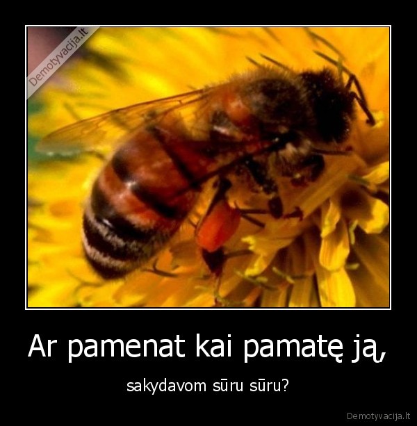 Ar pamenat kai pamatę ją,