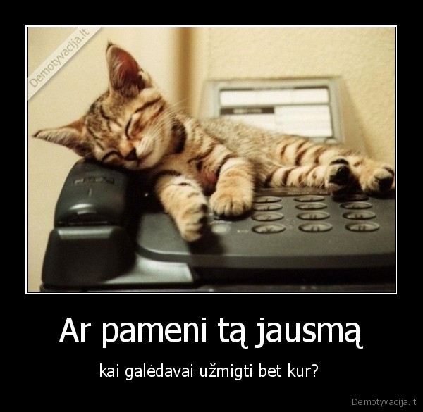 miegas,kaciukas,vaikyste