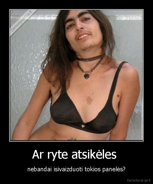 stajakas,rytas,uzpisa