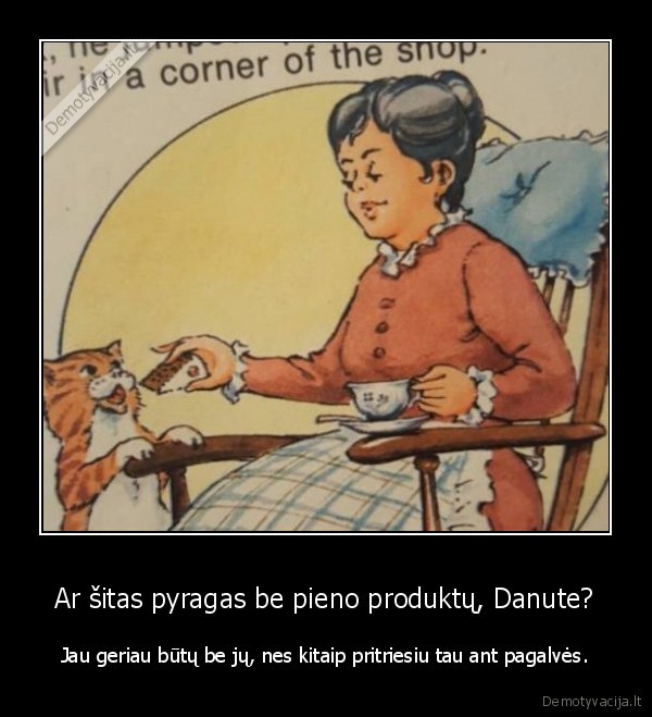 kate,katinas,pienas,pagalve