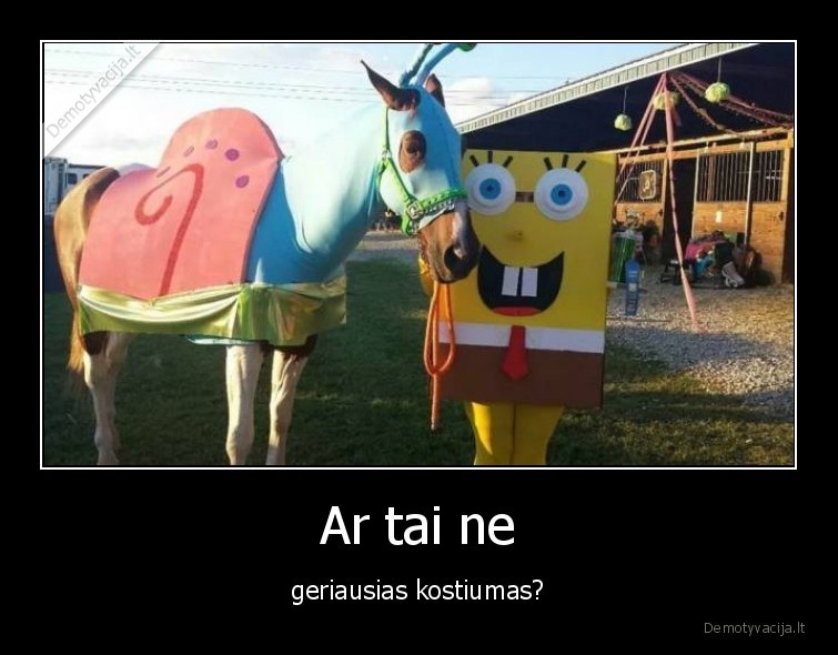 kempiniukas,kostiumas,arklys,garis