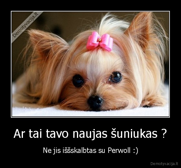 Ar tai tavo naujas šuniukas ?