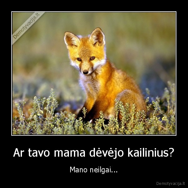 Ar tavo mama dėvėjo kailinius?