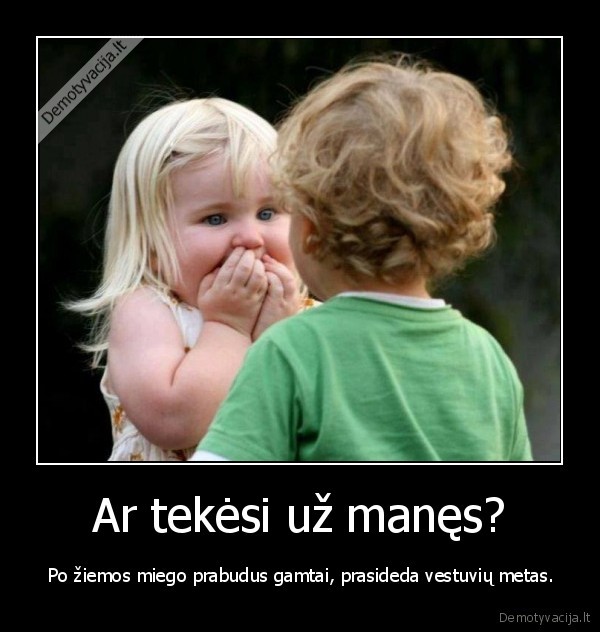 vestuves,gamta,metas,prasideda