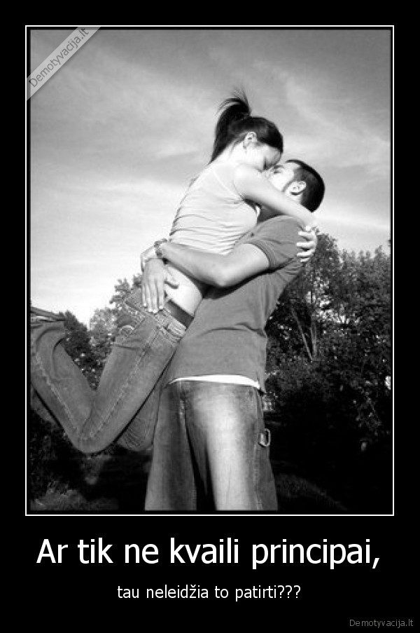Ar tik ne kvaili principai,
