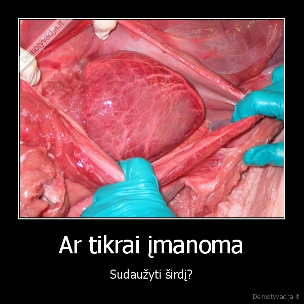 smoriginas, uosto, savo, batus