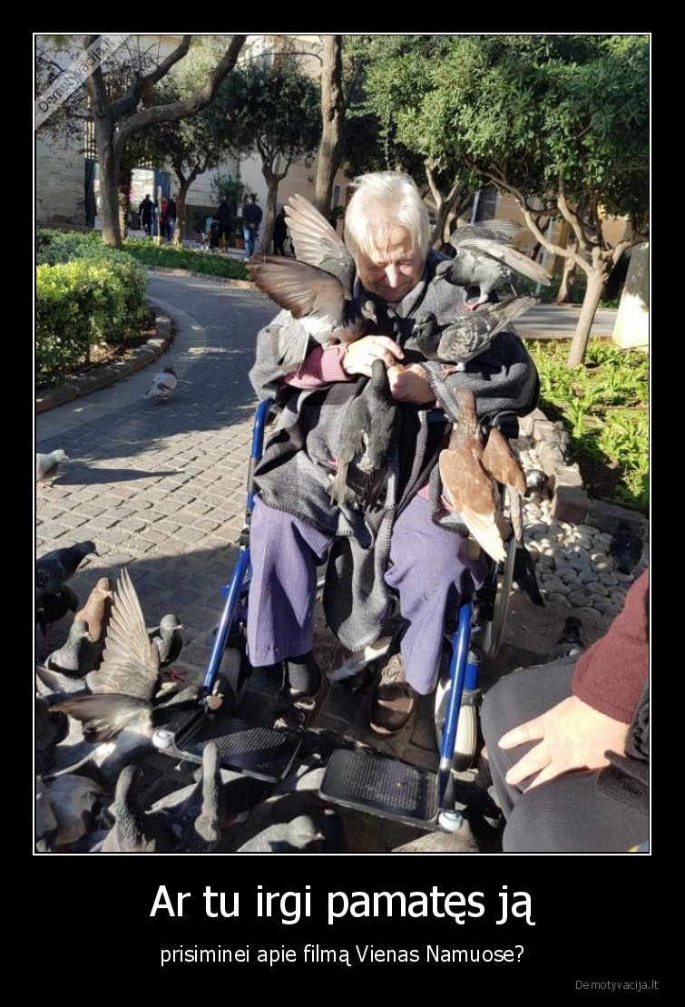 vienas,namuose,balandziai,moteris