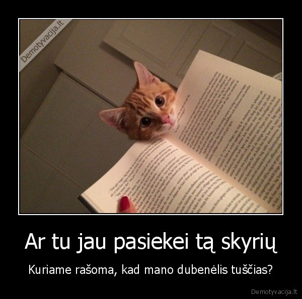 katinas,kaciukas,skaitymas